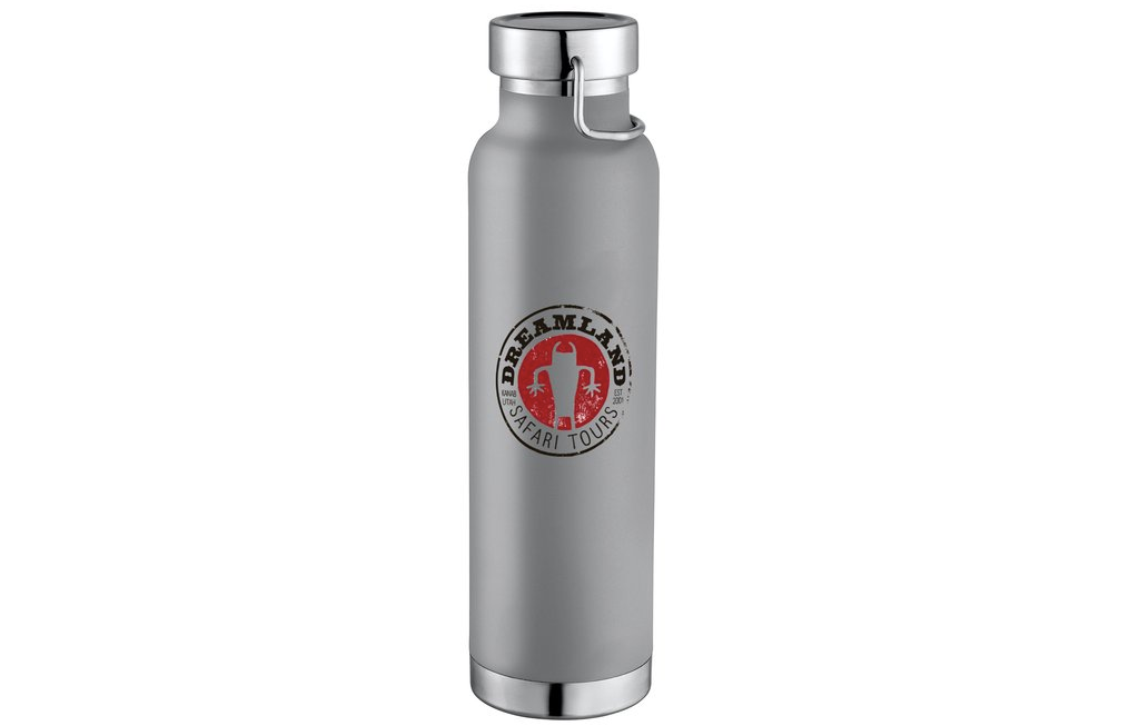 Dreamland Insulated Stainless Steel Bottle