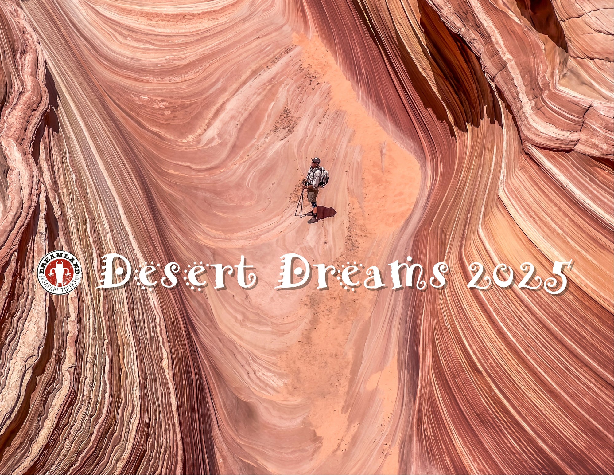 Desert Dreams 2025 Wall Calendar
