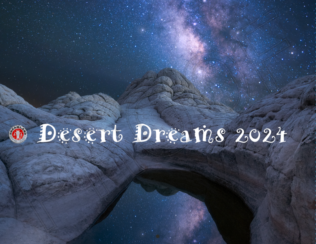 Calendar 2024 Desert Dreams Wall Dreamland Safari Tours Merchandise