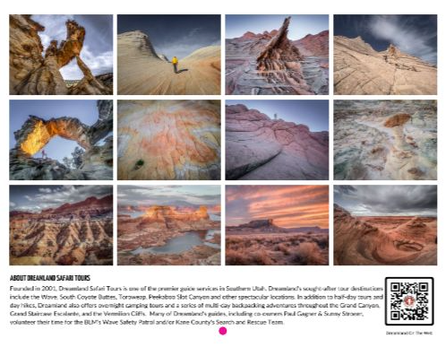 Calendar: 2026 Desert Dreams Wall Calendar